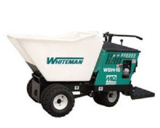 Picture of Concrete Buggy Wheel